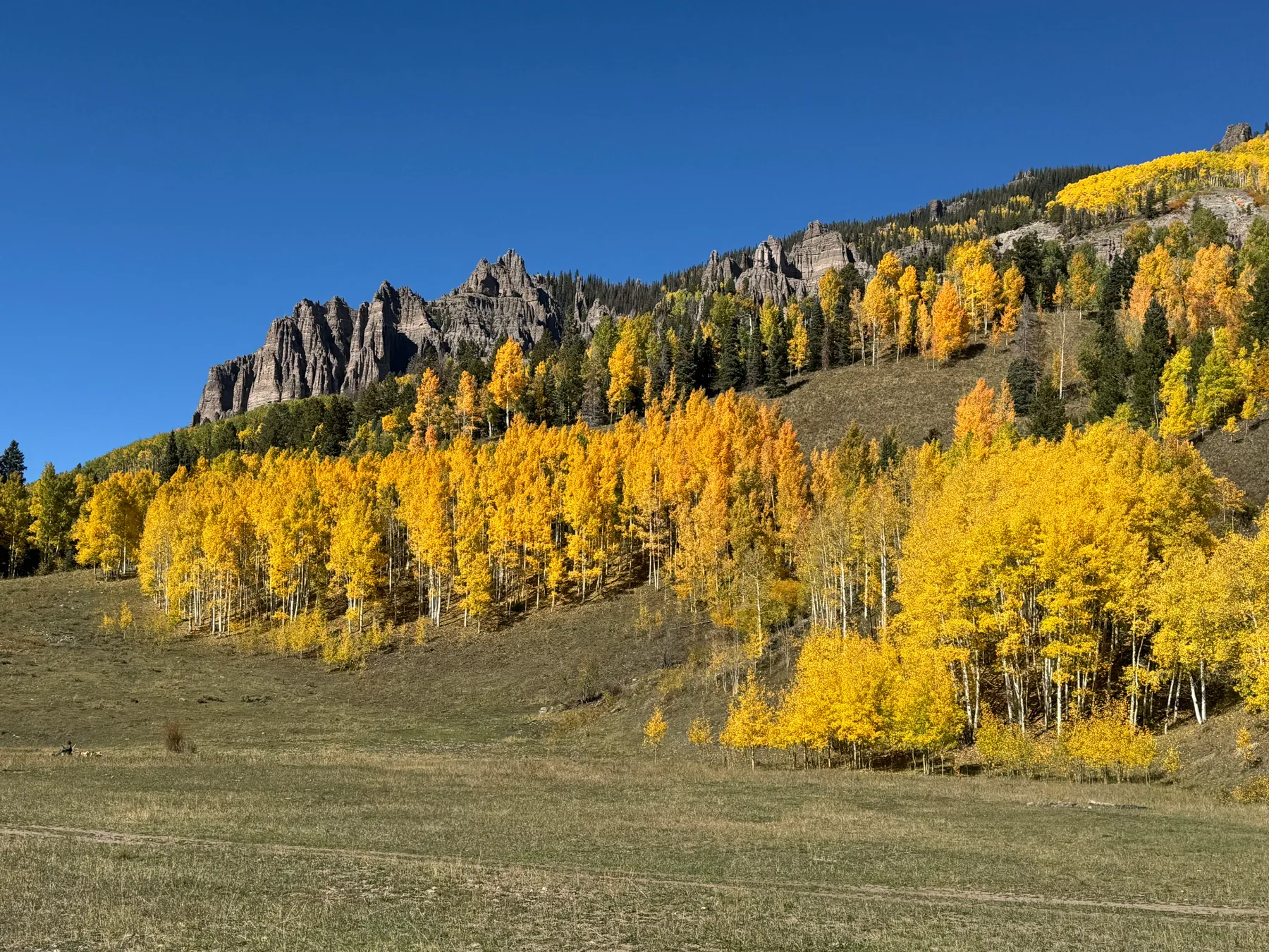 Real rock formations and autumn woodland from the Picture Corral