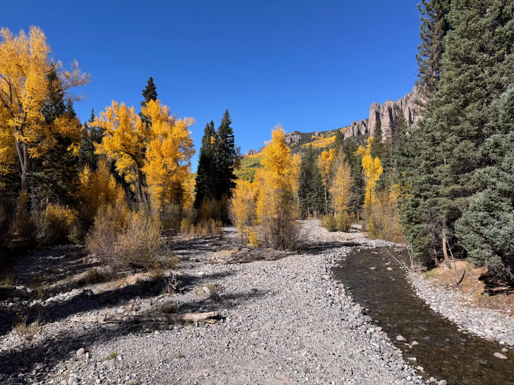 Original creek and autumn woodland photograph